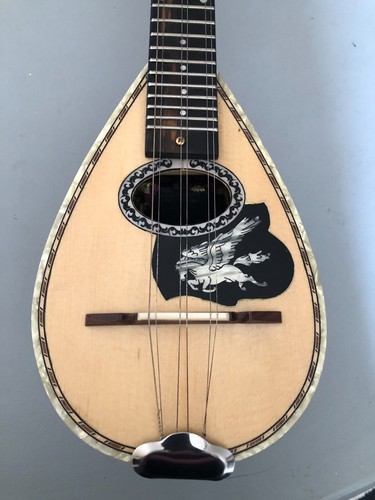 Professional greek bouzouki - bouzouki,