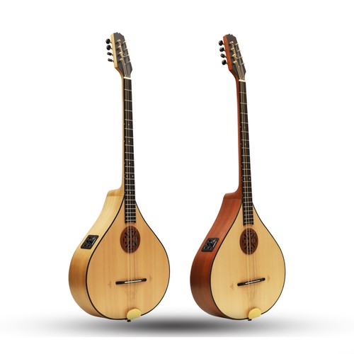 Traditional irish bouzouki 8 - traditional,