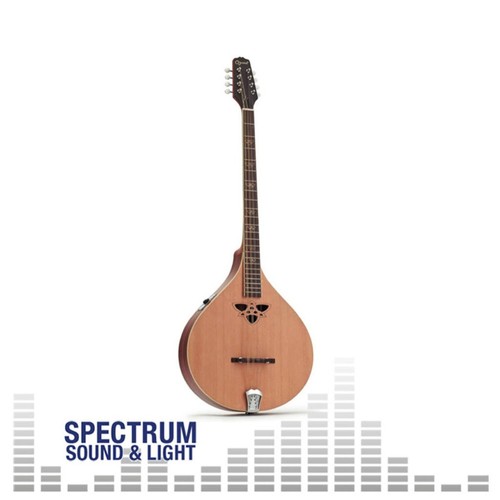 Ozark fingerboard bouzouki - -,