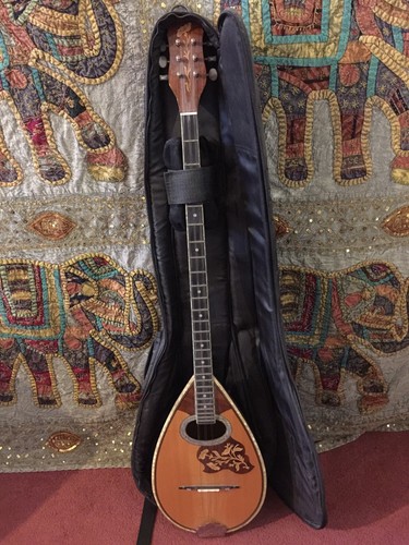 Zozef terzivasian nightingale - zozef,