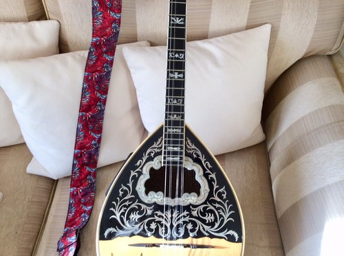 Greek bouzouki self - self, playing