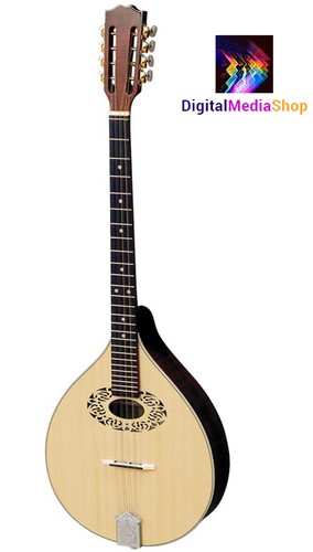 Octave mandolin with short - mandolin,