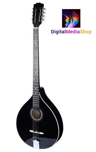 Black irish bouzouki - bouzouki,, solid